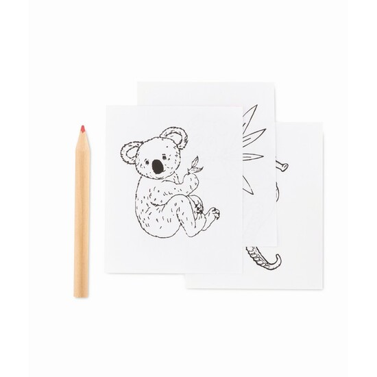 Mal-Set mit Buntstiften