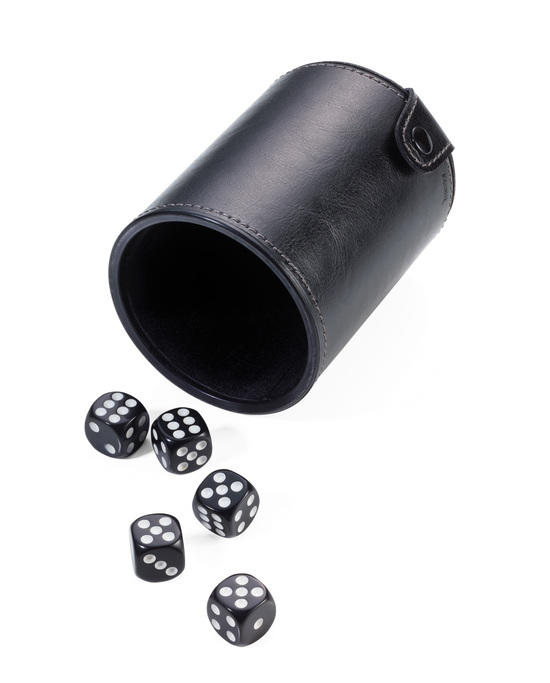 TROIKA Würfelbecher WÜRFEL TO GO