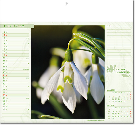 Kalender "Blütenwelt" im Format 30 x 28 cm, mit Fälzel