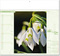 Kalender "Blütenwelt" im Format 30 x 28 cm, mit Fälzel