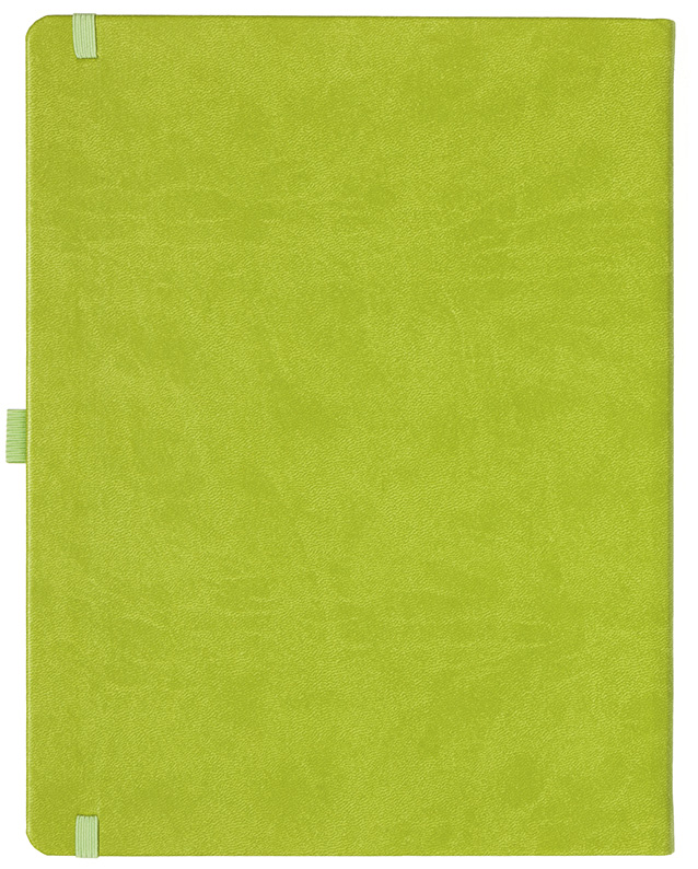 Notizbuch Style Large im Format 19x25cm, Inhalt blanco, Einband Slinky in der Farbe Lime