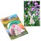 Samen-Karte-Mini Ostern - Schnittlauch