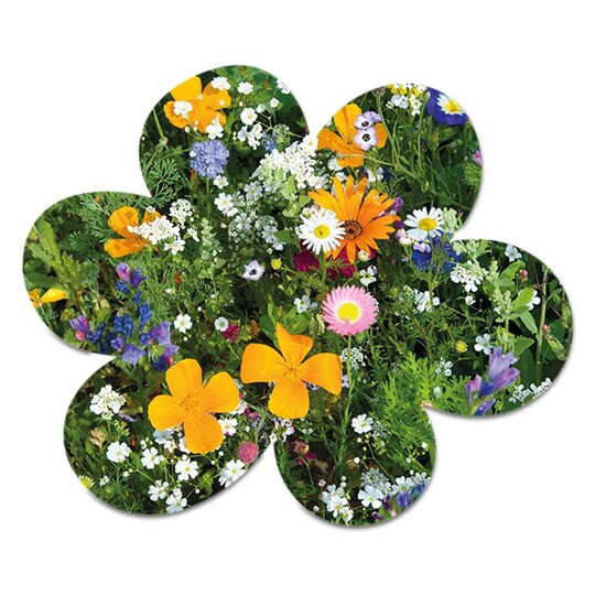 Samenpapier auf A6-Karte - Blümchen