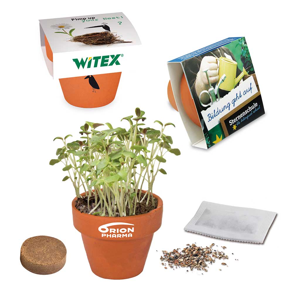 Logo-Töpfchen Banderole mit Samen - Basilikum