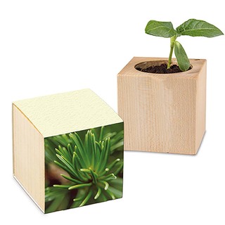 Pflanz-Holz mit Samen (Graspapier-Banderole) - Fichte, 2 Seite gelasert
