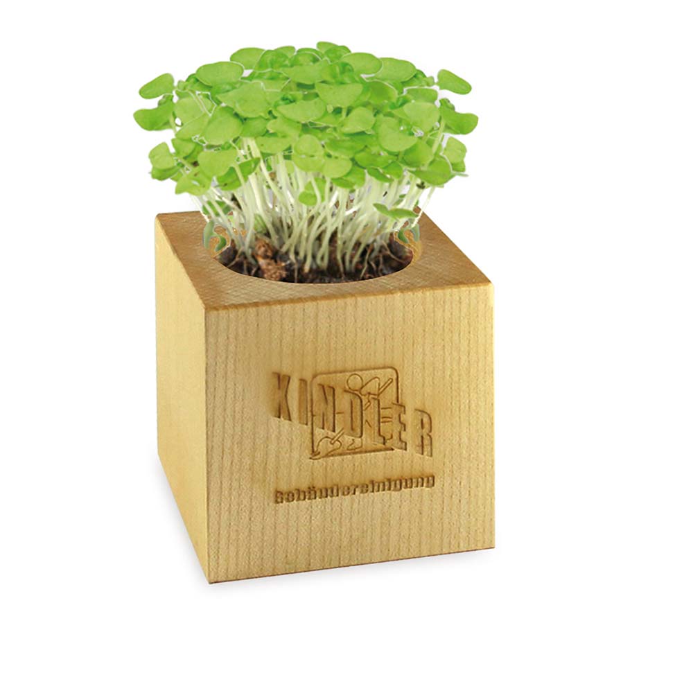 Pflanz-Holz Maxi mit Samen - Gartenkresse