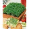 Pflanz-Holz Maxi mit Samen - Gartenkresse