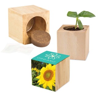 Pflanz-Holz Maxi mit Samen - Sonnenblume, 1 Seite gelasert