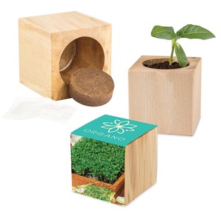 Pflanz-Holz Maxi mit Samen - Gartenkresse, 2 Seiten gelasert