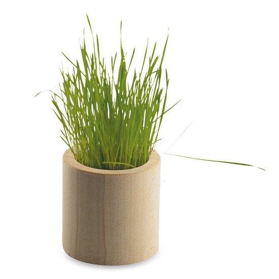 Pflanz-Holz rund mit Samen - Petersilie