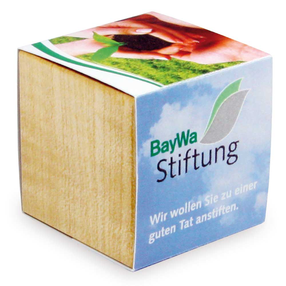 Pflanz-Holz Magnet mit Samen - Basilikum