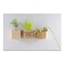 Pflanz-Holz Magnet mit Samen - Sommerblumenmischung