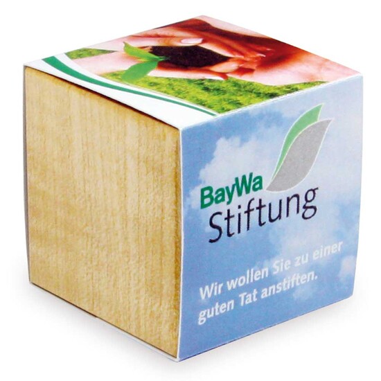 Pflanz-Holz Magnet mit Samen - Sonnenblume