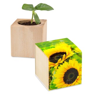 Pflanz-Holz - Standardmotiv - Sonnenblume - inkl. Lasergravur auf zwei Seiten