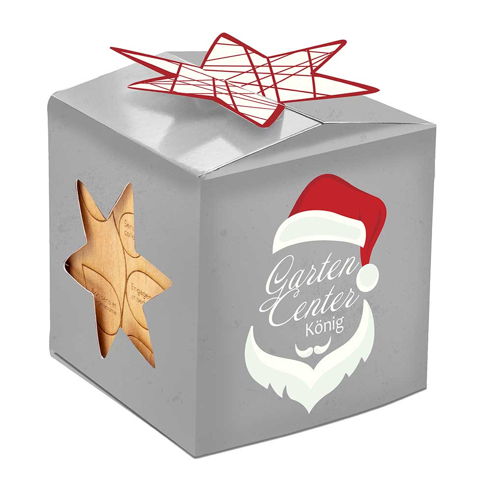 Pflanz-Holz Büro Star-Box mit Samen - Thymian