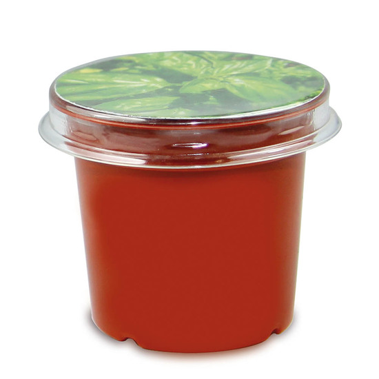 Florero-Töpfchen mit Samen - terracotta - Margerite