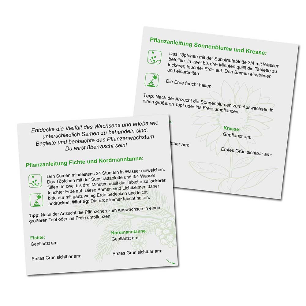 Pflanzen-Mix Winter-Set  - mit Digitaldruck