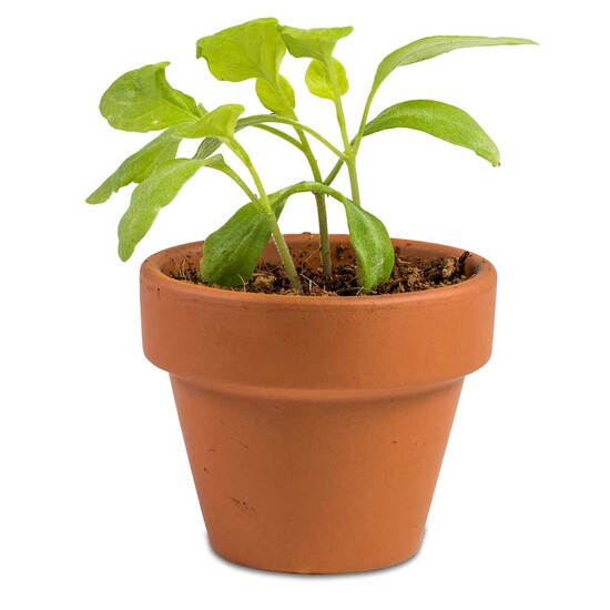 Das Gelbe vom Ei - mit Tontöpfchen, Eierkerze, Marmelade und Schokohase