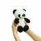 Plüsch-Panda ANTHONY 56-0502254