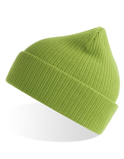AT116 Nelson Beanie