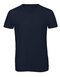 BCTM057 V-Neck Triblend T-Shirt /Men