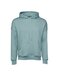 CV3729 Unisex Sponge Fleece Pullover DTM Hoodie