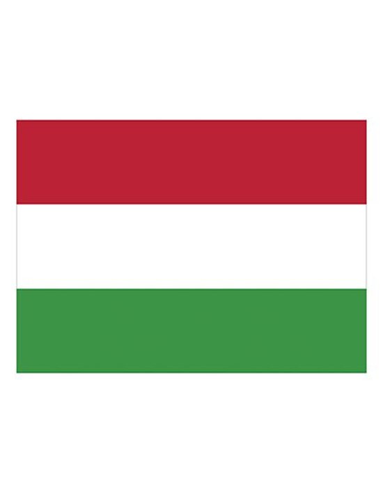Fahne Ungarn