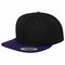 Classic Snapback 2-Tone